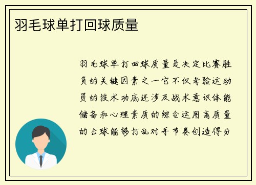 羽毛球单打回球质量